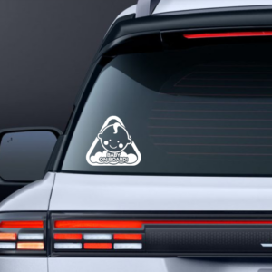 Baby on board V1